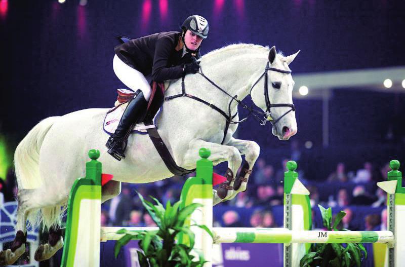 LEVANTOS II Apja: Liostros (Ladykiller XX), Joost és Colt anyai vonalból Anyai nagyapja a híres Cantus, aki apja az alábbi csúcsteljsítményű sportlovaknak: Calvaro V, Come On, Candaletto,stb Anyja: