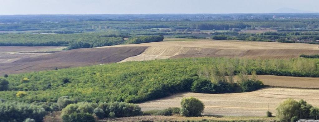 TERMÉSZETI ÉRTÉK A Rétköz a Tisza felső szakaszának szabolcsi mélyártere, mely a folyószabályozások és lecsapolások előtt (a XIX.
