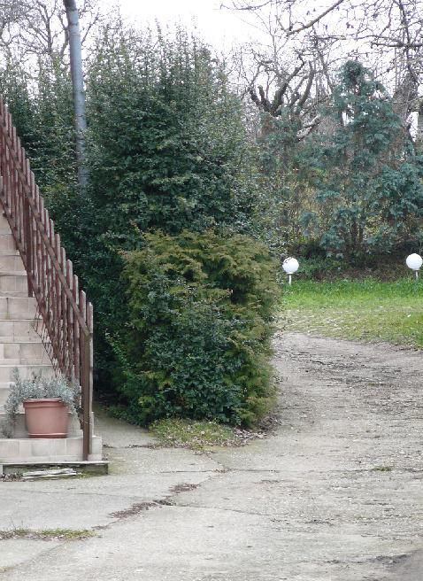 A településrészre jellemző elő- és oldalkert, amely nem csak díszítő, hanem védelmi szerepet is ellát.