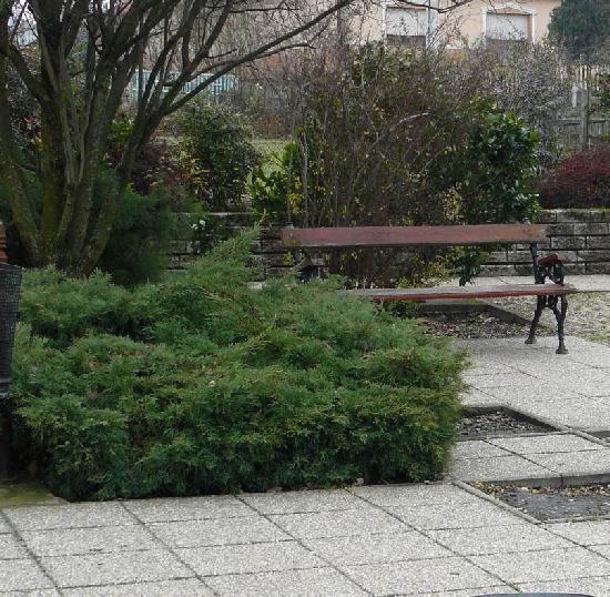 44 Közterek, közparkok, közkertek A közösségi szabadterek, olyan területek, ahol településhez, településrészhez és a helyi közösségekhez tartozásunkat a természethez kapcsolódva
