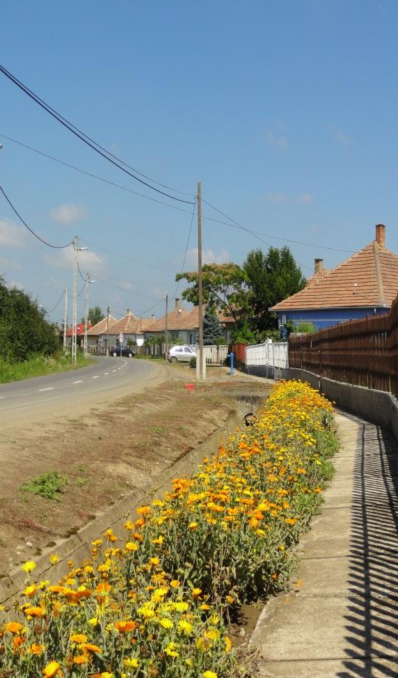 Épületei karakterükben hordoznak.