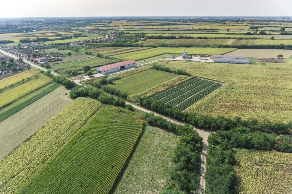 Fülpösdaróc - TAK 40 Homlokzatképzés, anyaghasználat A gazdasági épületek kialakításakor elsődleges szempont a