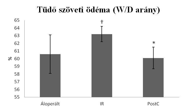 Tüdő szöveti ödéma vizsgálata (W/D arány) A tüdő szöveti nedvességtartalma szignifikánsan magasabbnak bizonyult az IR csoportban az Áloperált csoporthoz képest és a W/D arány szignifikánsan