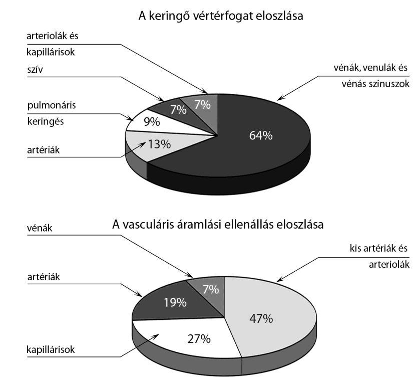 3. ábra: A kapacitás és a rezisztencia megoszlása a keringési rendszerben (Despopoulos és Silbernagl 2009). A vénákban áramló vér egyenirányítását a billentyűk végzik.