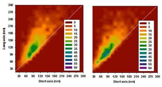 Hosszú átmérő (nm) DOI:10.14753/SE.2015.1791 28. ábra: A karból és lábszárból származó granulumok ellipticitásának gyakorisági megoszlása.