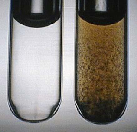 Elektrokémia - redoxielektródok Kinhidronelektród (Inert fém, pl. Pt merül kinhidront tartalmazó elektrolitoldatba.
