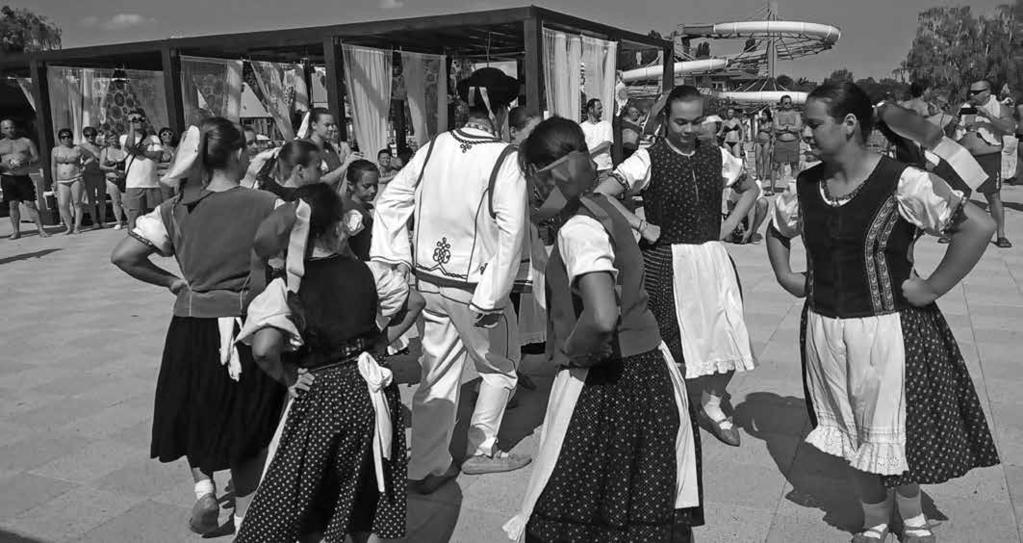 Festival je príležitosťou prezentácie talentov pre ľudí žijúcich s mentálnym postihnutím v okrese Dunajská Streda.