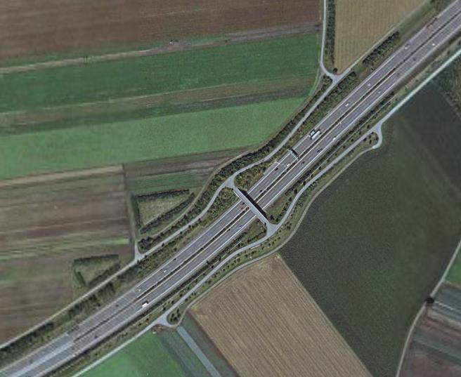 Mőtárgyak