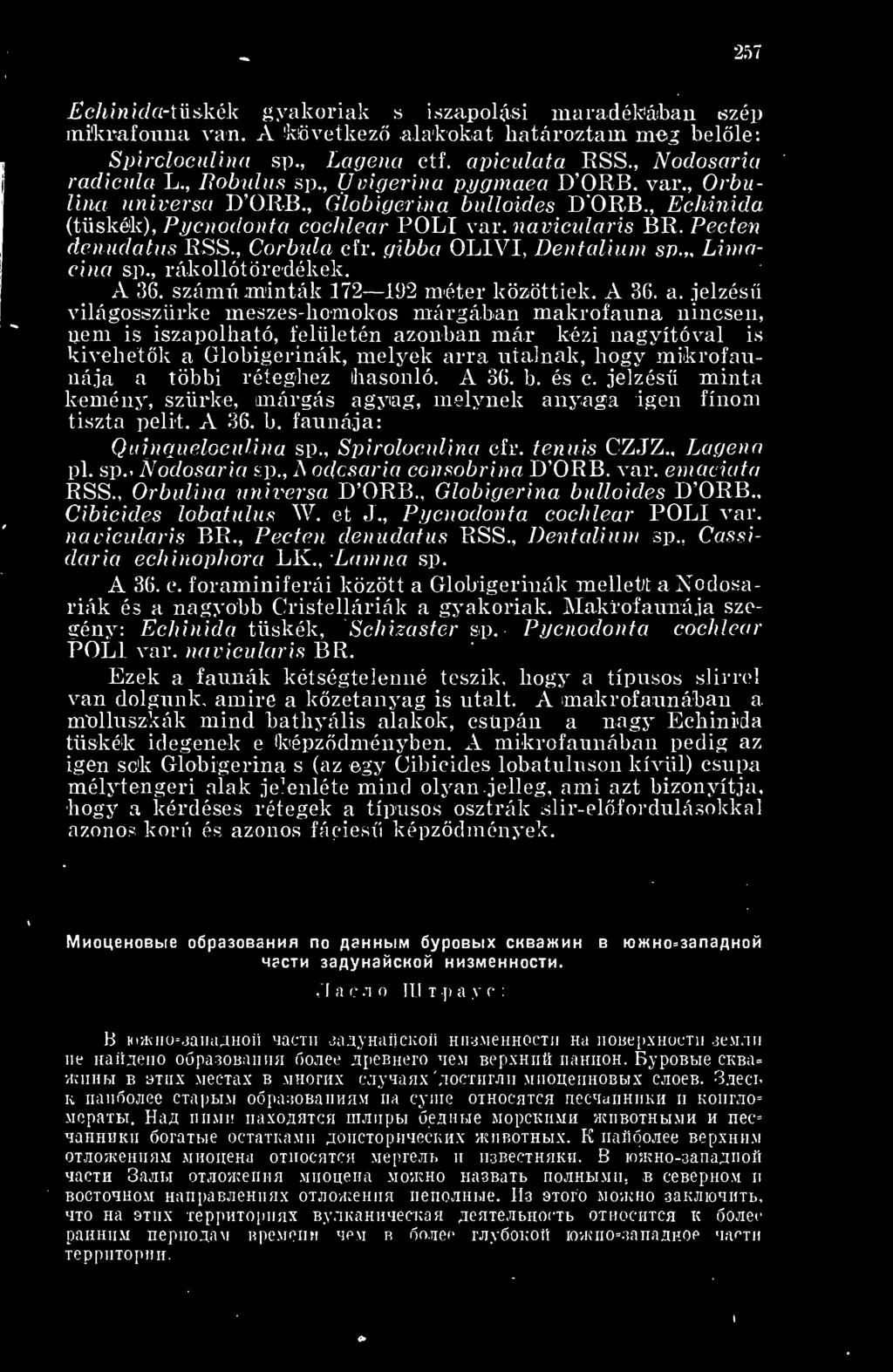 , Corbula cfr. gibba OLIVI, Dentalium sp. Liniacina sp., rákol lótöredékek. A 36. számú.minták 172 192 méter közöttiek. A 36. a.
