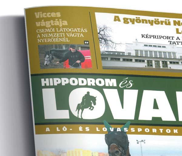 HÍREK - Mindig többet, mindig jobban beszélgetés Nagy Tamás