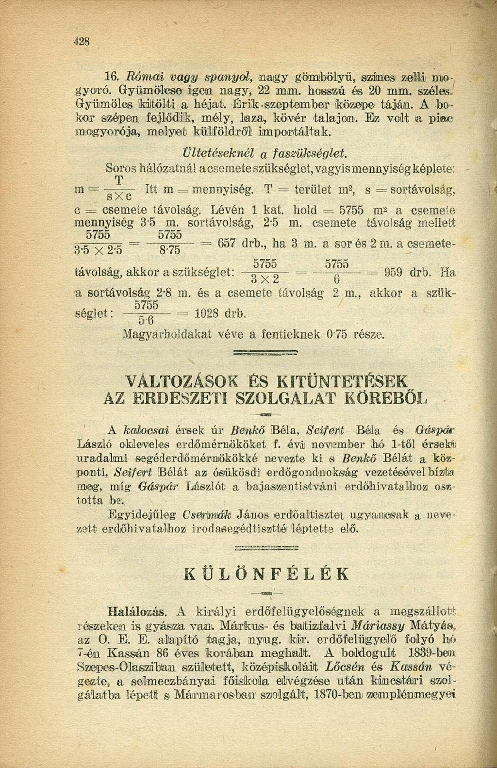 16. Római vagy spanyol, nagy gömbölyű, színes zelli mogyoró. Gyümölcse igen nagy, 22 mm. hosszú és 20 mm. széles. Gyümölcs Briitölti a héjat. Érik szeptember közepe táján. A.