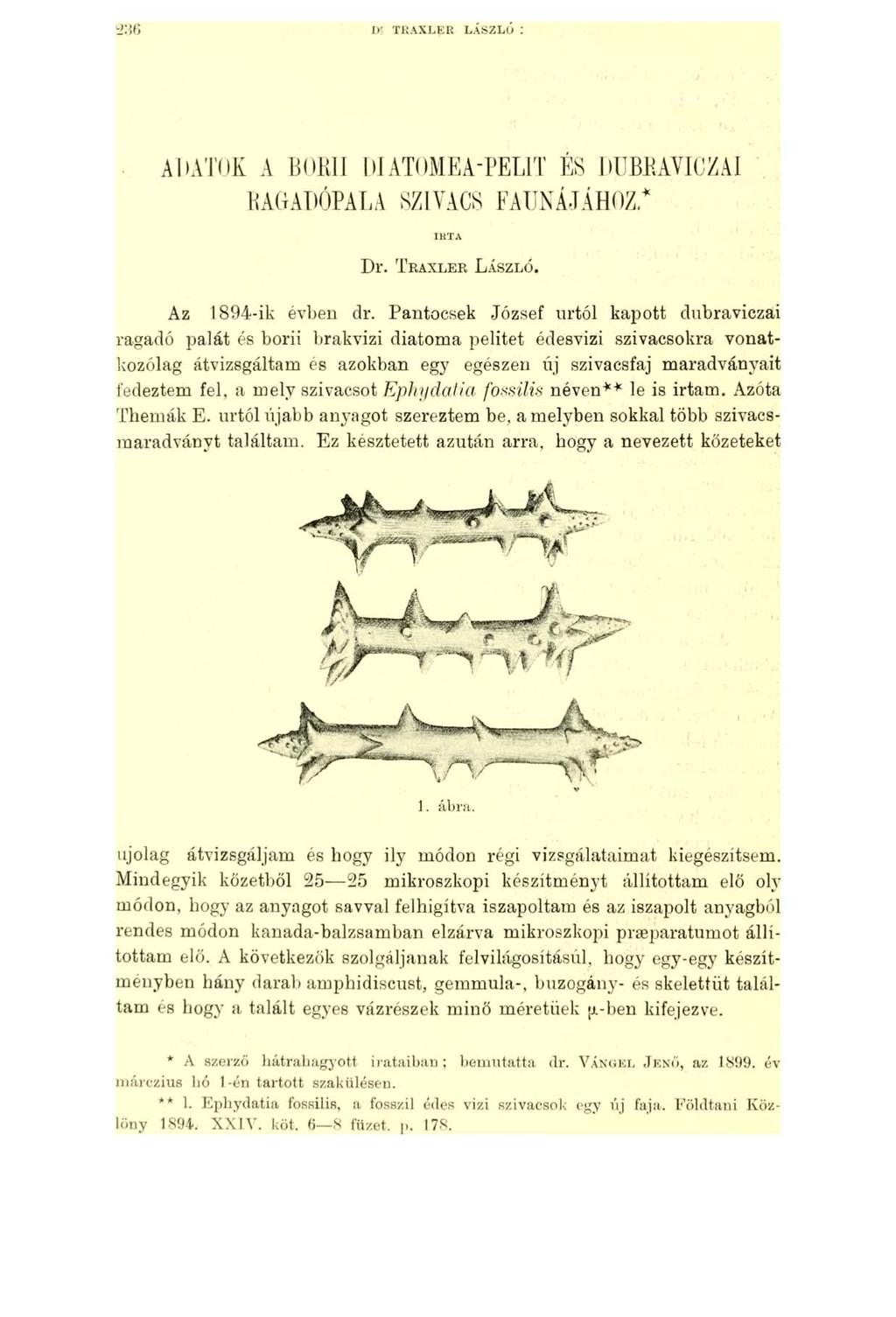 Dr TRAXLER LÁSZLÓ : ADATOK A BORII DI ATOME A'PELIT ÉS DUBRAVICZAI RAGADÓPALA SZIVACS FAUNÁJÁHOZ* IRTA D r. T raxler L ászló. Az 1894-ik évben dr.