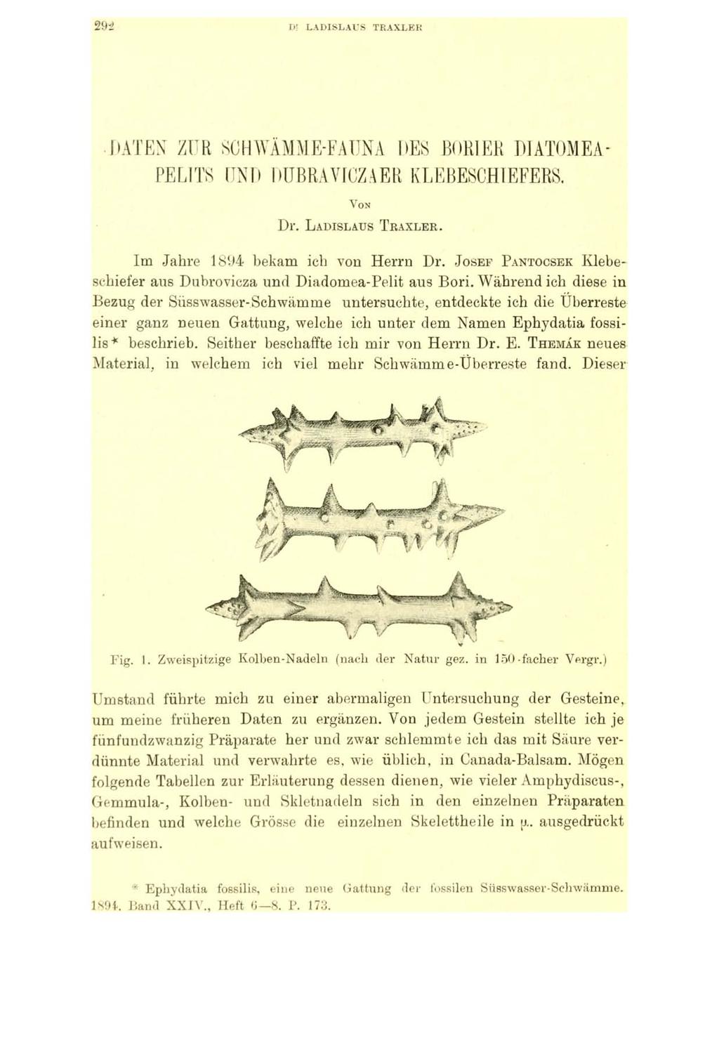 29á I»' LADISLAUS TRAXLER DATEN ZŰR SCHWÄMME-FAÜNA DES BORI ER DIATOMEA- PELITS UND DÜBRAVICZAER KLEBESCHIEFERS. V on Dr. L adislaus T r a x l er. Im Jahre 1894 bekam ich von Herrn Dr.