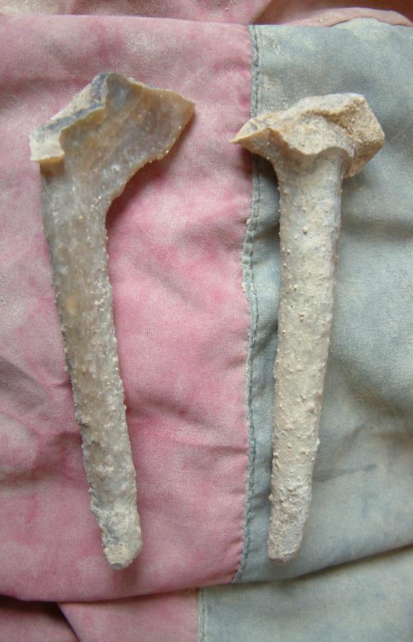 Ugyanebben a kitöltésben találtunk néhány 15-20 cm hosszú sztalaktit töredéket, valamint 30 x 25 cm-es, a Szemlő-hegyi-barlangból ismert