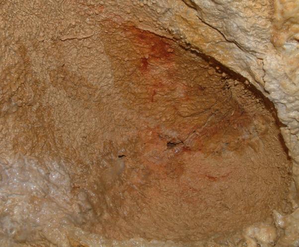 Borsóköves felületű oldásforma Gömbfülke cseppkőkezdeményekkel A bontási ponttól ÉNy-ra, 6 m távolságra a főtében egy 5 m magasságig felnyúló, oldott falú kürtő található.