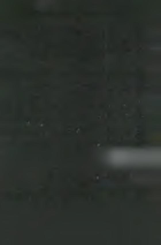 M A R IA N A P R O V IN C IA N R K R O L Ó G IU M A JÚ LIU S 18. re m é ljü k, v a la m ik o r képbe festve, vagy szoborba faragva - á ll az u tó k o r elő tt.