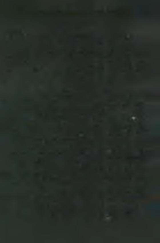 M A R IA N A P R O V IN C IA N R K R O L Ó G IU M A A U G U S Z T U S 20. 1986. 08. 20. P. Labancz László M e d á rd N. 1911. 01.01. Poljana / Belovár. Körös m. / V. 1933. 09.12. Pt. 1934. 09.13. Ps.