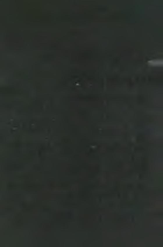 M A R IA N A P R O V IN C IA N E K R O LÓ G IU M A JAN U Á R 18. 1996.01.18. R ádonyi G yula Fr. Z o ltá n Rádonyi Julius ( Soldenarius ) f. Dionisius et Marxa Divos, n. Fertőhomok/ Sopron/ Ungam, d.