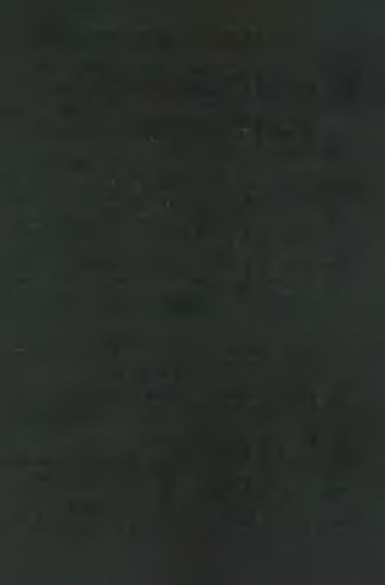 M A R IA N A P R O V IN C IA N R K R O LÓ G IU M A D E C E M B E R 6. Egyszerű, de a lélek mélyéből fakadó szavakkal vigasztalta azokat, akiket megtört az élet.