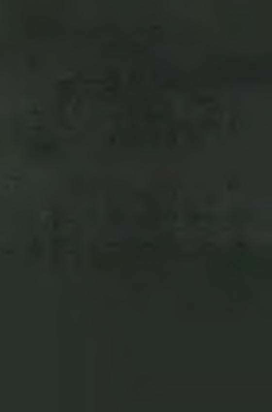 M A R IA N A P R O V IN C IA N R K R O LÓ G IU M A D E C E M B E R 10. 19 53.12.1 0. P. G u lyá s V ince G e llé rt N. 1889.12.18. Szil. V. 1907. 08. 26., P t 1908. 08. 27., Ps. 1913. 07. 06., S.