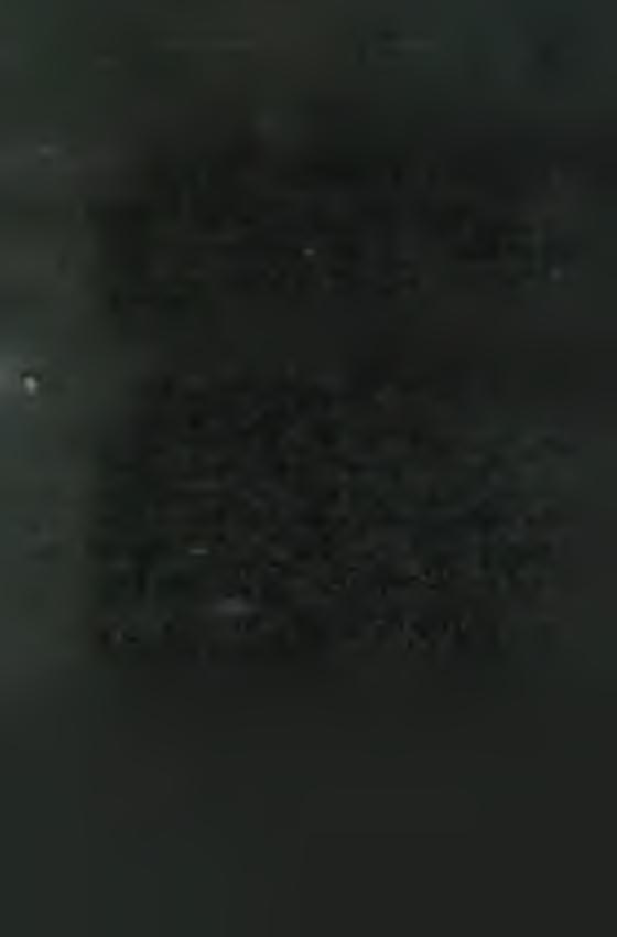 M A R IA N A P R O V IN C IA N R K R O LO G IU M A D E C E M B E R 23. 1966.12. 23. Fr. Ib rá n y i Is tv á n E rv in N. 1904. 04. 25. Budapest. V. 1945. 09. 23. PL 1946. 09. 24.
