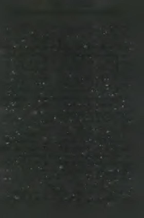 M A R IA N A P R O V IN C IA N R K R O L O G IU M A FEBRUÁR 4.