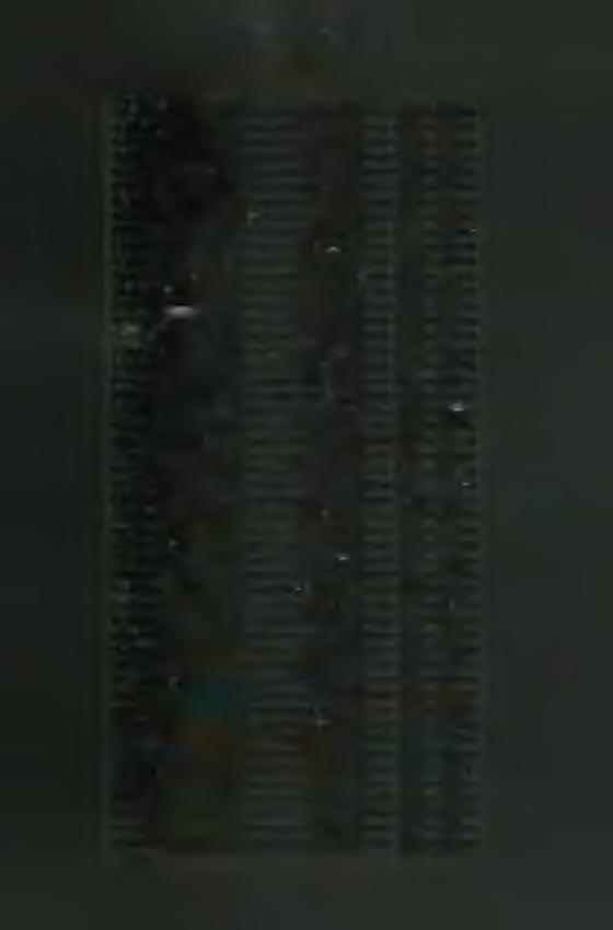 M e g h a lt te s tv é re k névsora b e tű re n d s z e rin t Kleinmayer Antonin Fr. 1945 3 4 Kocsis Ödön P. 1965 11 5 Konecsny Róbert Fr. 1950 10 21 Kovács Kalliszt P. 1937 1 5 Kovács Rajnér P.