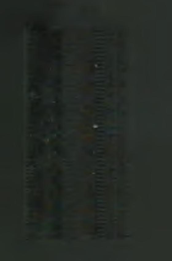 M e g h a lt te s tv é re k névsora b e tű re n d s z e rin t Scheirich Bonaventúra P. 1964 2 20 Schmidt Félix P. 1948 1 2 Selymes Simon Fr. 1973 7 22 Simicza Sebestyén P. 1952 11 21 Sipos Kajetán P.