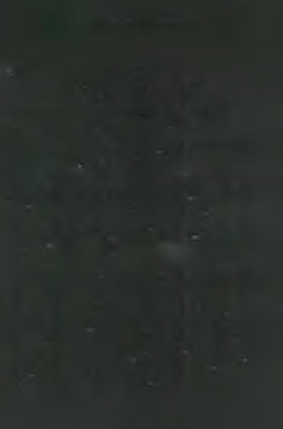 M A R IA N A P R O V IN C IA N EK R O LÓ G IU M A M Á R C IU S 31. 1945.03.31. P. H a jn a l József Zénó N. 1900.10. 25. Vaskoh/Bihar m. / V. 1917. 08. 27. PL 1919. 08. 27. Ps. 1924. 07. 30. S. 1925.