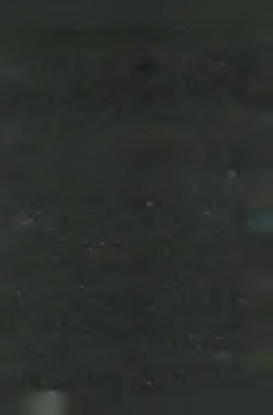 M A R IA N A P R O V IN C IA N R K R O LÓ G IU M A M A R C IU S 31. m a g ya rt.