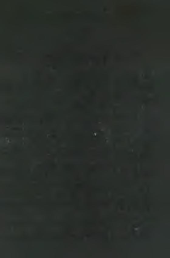M A R IA N A PR O VIN C IA N EKR O LÓ G IUM A Á P R IL IS 15. 1948. 04.15. P. W eiss József R ich á rd N. 1890. 07. 02. Frauenkirche-Boldogasszony. V. 1906. 09. 03. Pt. 1907. 09. 04. Ps. 1912.12. 25.