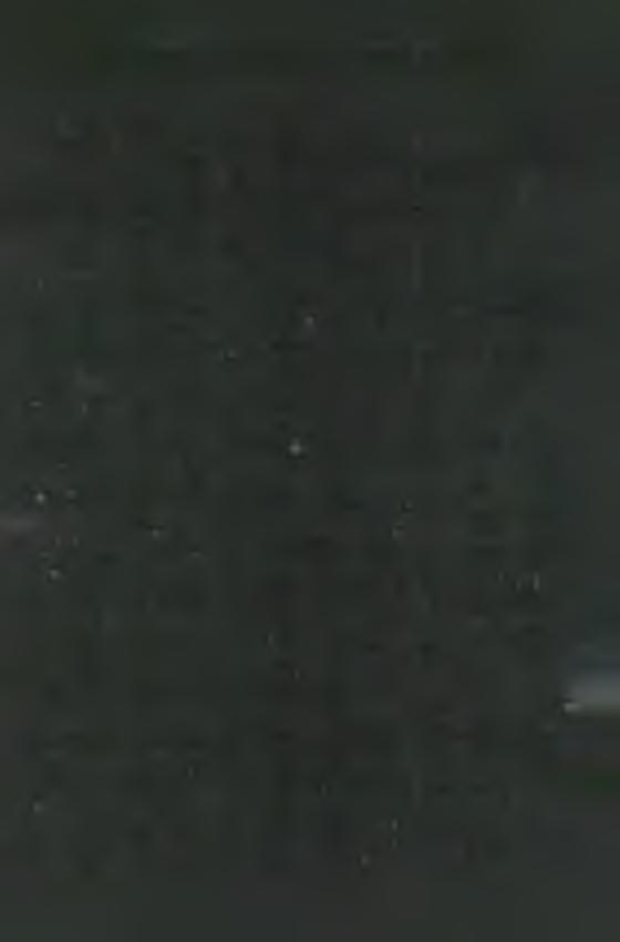 M A R IA N A P R O V IN C IA N EK R O LÓ G IU M A A P R IL IS 15.