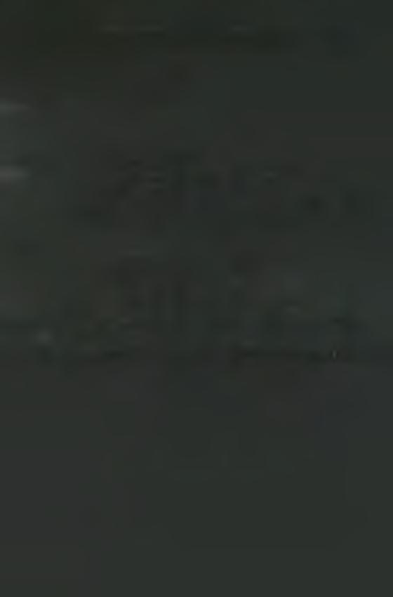 M A R IA N A P R O V IN C IA NEKR O LÓ G IUM A M A JUS 24.. 1933. 05. 24. Farkas Fr. M e d á rd 1942. 05. 24. P. Stenger G yu la A lb e rt N. 1876.10. 01. Kúp/Veszprém m./s. 1899. 06. 30. V. 1930. 07.