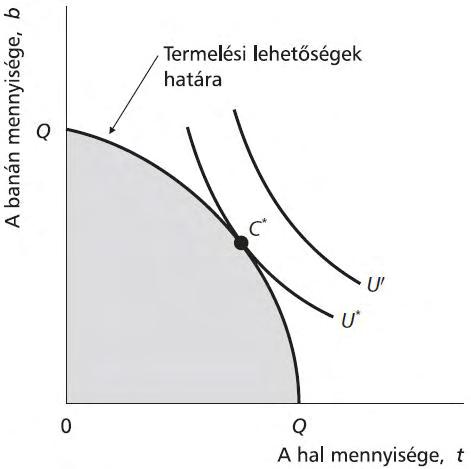 Kitér : Egyszerepl s gazdaság Robinson Crusoe fogyasztói optimuma Robinson Crusoe lehet ségeinek halmazát, a besötétített területet a saját