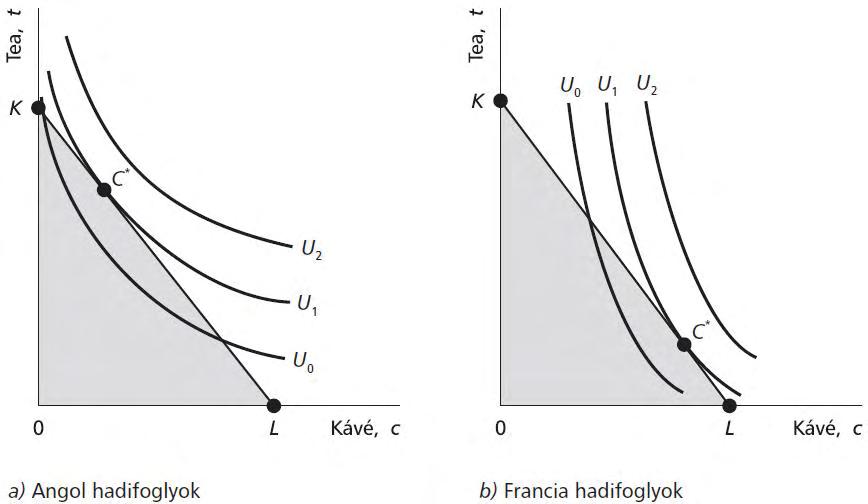 Fogyasztói optimum