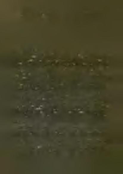 Alatta a Szentháromságot ábrázoló háromszög, lejjebb pedig a ferencesek által terjesztett Jézus monogram: IFIS található. A főoltárkép a X V II.