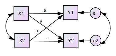 A diádikus adatok elemzésénél az Actor-Partner Interdependence Model-t (Kenny, 1996) használtam.