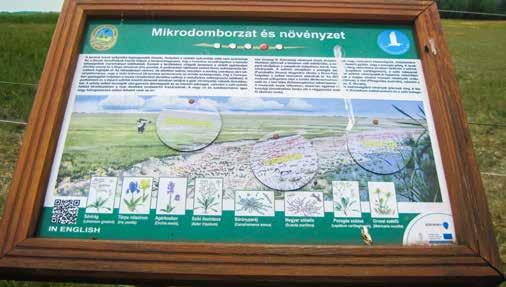 10 A tanösvények tervezésének pedagógiai vonatkozásai 11 azok védelmének érdekében a hatóságok korlátozhatják az épített elemek kihelyezését.