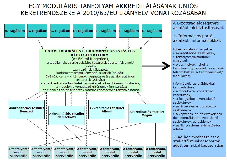 osszanak meg egymással, minden tagállamban megértessék a képzés és az oktatás fontosságát, és ezáltal bizalmat ébresszenek és elősegítsék a képzés kölcsönös elismerését.