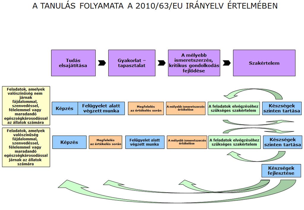 A folyamat A fentiek alapján az alábbi folyamat javasolt: A kívánt eredmények elérése, azaz a megfelelő képzési minőség és a személyzet szabad mozgása érdekében szükség van a moduláris képzés