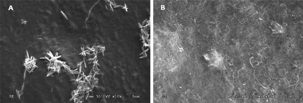 Szentes et al. Szén nanocsövek 7.