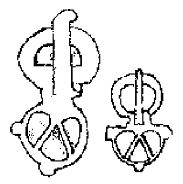 Az ótörök ábécékben a rét piktogram ketté van osztva egy felső részre: r 1 hangértékkel, az alsó részre: t 2 hangértékkel. (L.: Szekeres No. 22.