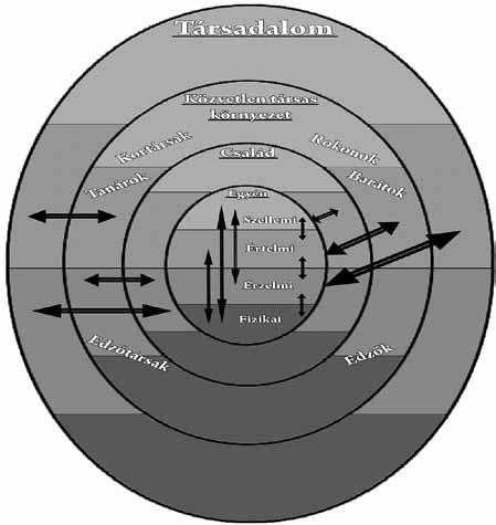 2. ábra. A sporttehetség-gondozás integratív szemlélete (Orosz & Bíró 2009: 24) Vannak a sporttehetség szempontjából különösen fontos tényezők.