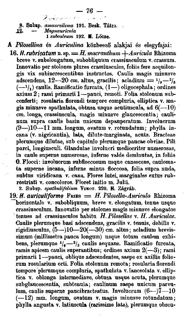 j8. Subsp. amaureilenia 191. Besk. Tátra.. JLg. Magnaurieula 1 subcalvum 192. M. Lőcse. A Püosellina és Auriculina közbeeső alakjai és elegyfajai: 16. W. rubricatum n. sp. = íí.