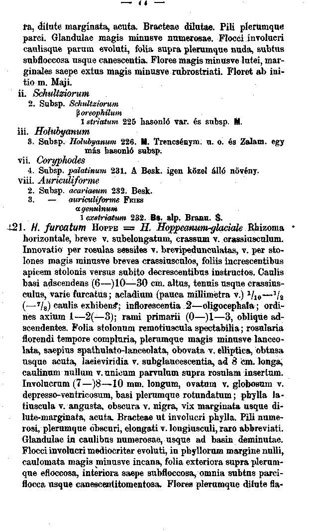 II fa, diíute margináta, acuta. Bracteae dilutae. Pili plerumque parci. Glandulae magis minnsve numerosae.
