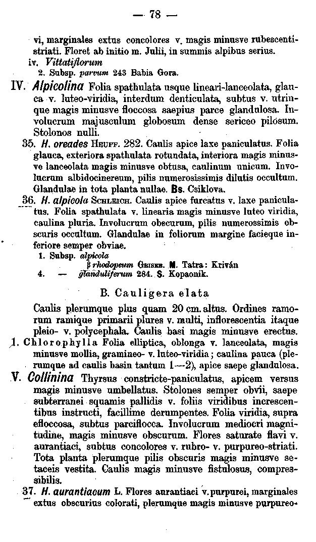 - 78 vi, margínales extus concolores v. magis minusve rubescentistriati. Floret ab initio m. Julii, in summis alpibus serius. iv. Vittatiflorwm 2. Subsp. parvum 243 Babia Gora. IV.