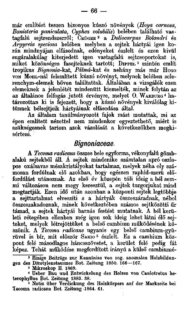 66 már említést teszen bizonyos kúszó növények (Hot/a carnosd, Banisteria panicidata, Oyphea volubilis) belében található vastagfalú sejtrendszerről; CRÜGER 2 a Doliocarpus Rolandri és Argyreia