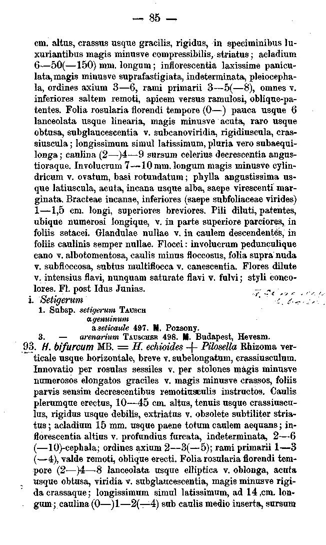 85 -, cm. altus, crassus usque gracilis, rigidus, in speeiminibus luxuriantibus magis minusve compressibilis, striatus; aeladium 6 50( 150) rnm.