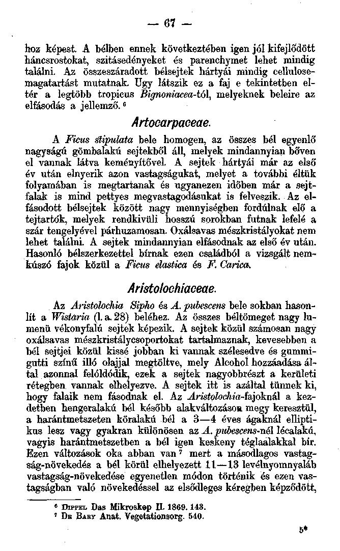 67 - hoz képest. A bélben ennek következtében igen jól kifejlődött háncsrostokat, szitásedényeket és parenchymet lehet mindig találni.