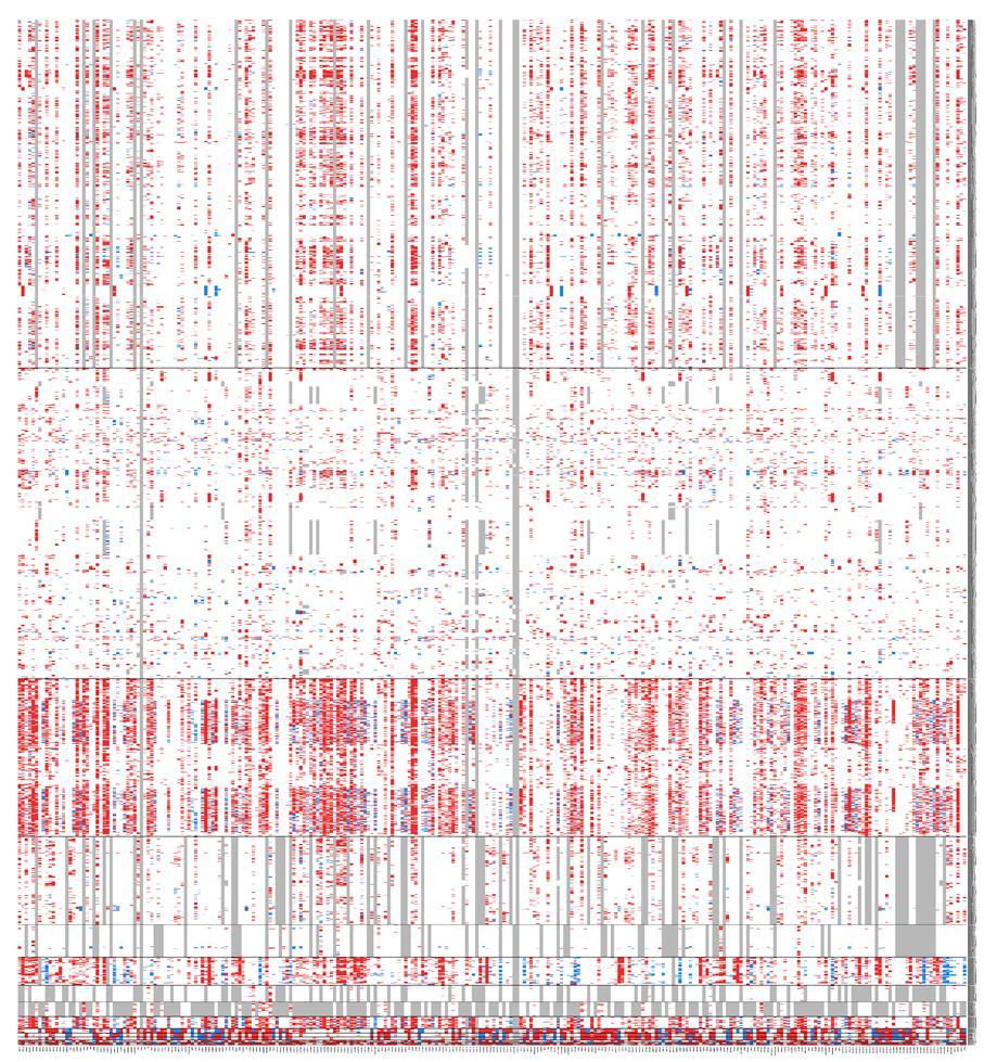 Data Expressionchanges Expressionpatterns Biochemical pathways Whole dataset PCA